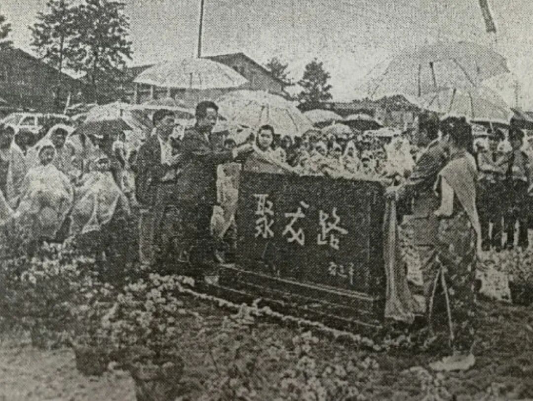 1784166046.jpg 9.2.jpg
